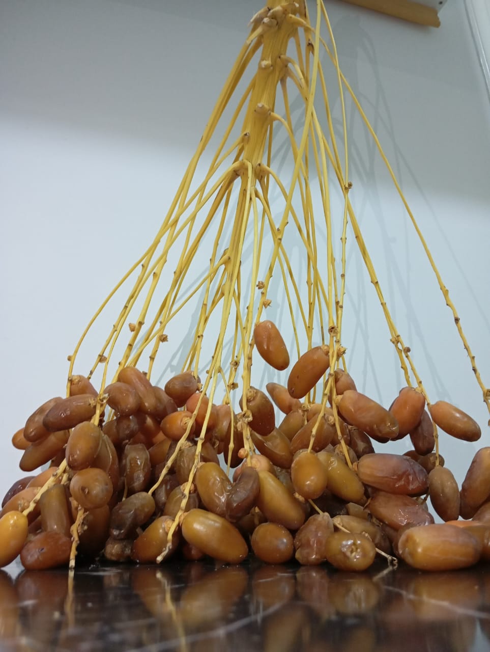 Dattes Deglet Nour Premium